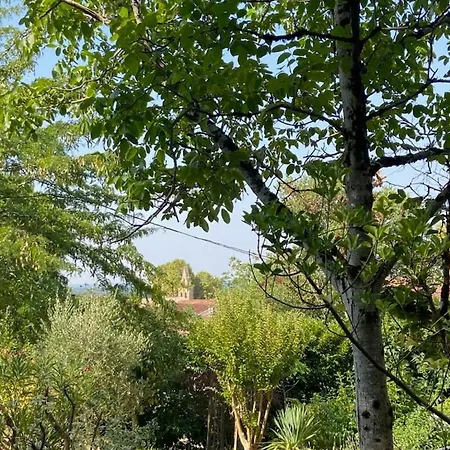 Dependance Atypique 2chbres Parc Piscine Apartmán Villebrumier