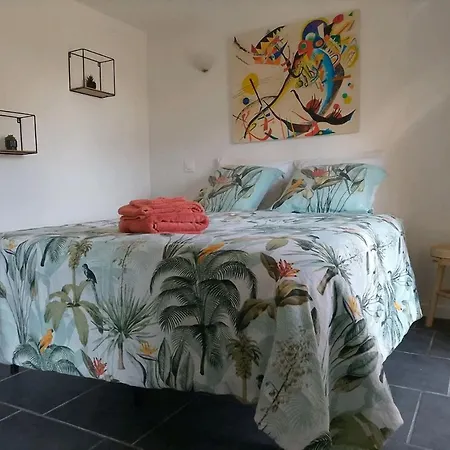 Dependance Atypique 2chbres Parc Piscine Villebrumier