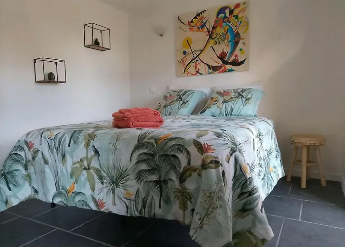 Dépendance Atypique 2chbres Parc Piscine Villebrumier