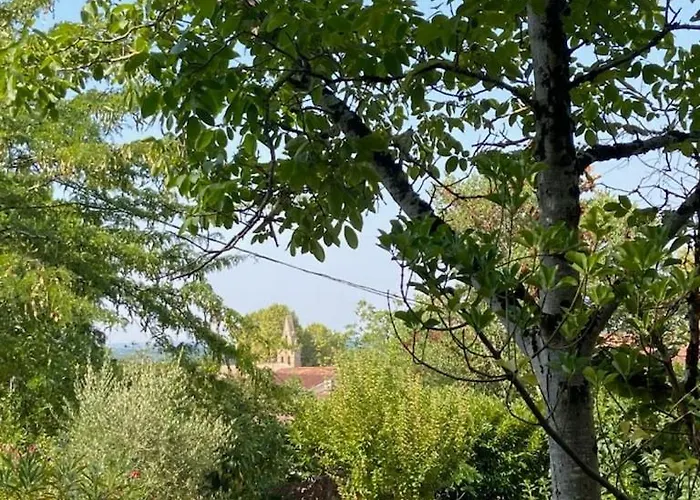 Dépendance Atypique 2chbres Parc Piscine Appartement Villebrumier